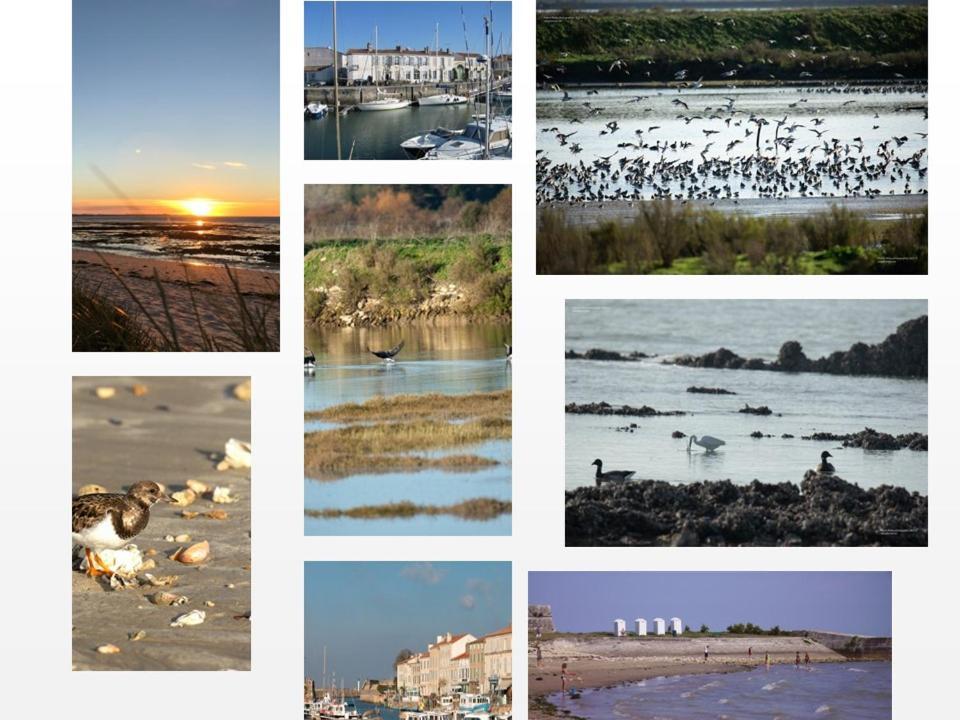 Ile De Re, La Danae, Velos, Wifi, Possibilite Cuisine, Linge, Parking Gratuit Saint-Martin-de-Ré Exterior photo